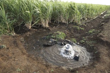 Sulama kurulmuş, Marathwada, Maharashtra, Hindistan 