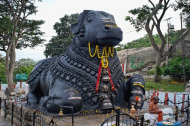 Chmudi tapınağındaki Nandi boğası, Chamudihill, Mysore, Karnataka, Hindistan 