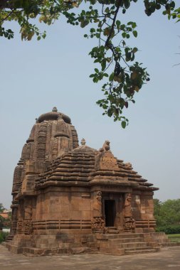 Rajarani Tapınağı, Bhubaneswar, Odisha, Hindistan, Asya