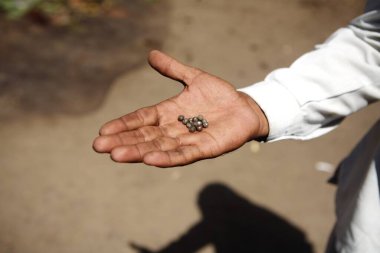 Tekstil kasabası Malegaon, Maharashtra, Hindistan 'ı sarsan bombanın parçalarını gösteren adam. 
