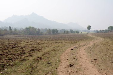 manzara, Khajuraho, Madhya Pradesh, Hindistan, Asya