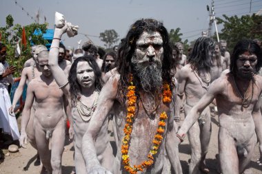 Naked Sadhus on way Haridwar Uttarakhand India Asia   clipart