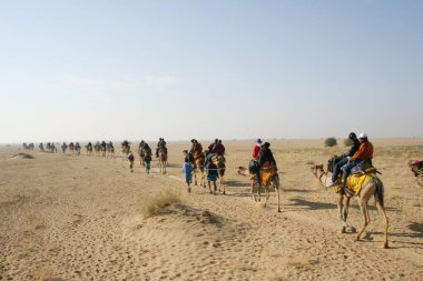 Sam Thar çölündeki safari kum tepelerinde deve sürüşü, Jaisalmer, Rajasthan, Hindistan