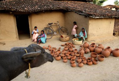 Kırsal yaşam, Hazaribagh, Jharkhand, Hindistan 