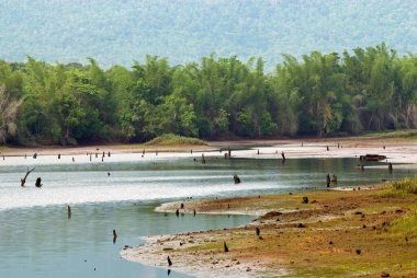 Pykara lake ; Udhagamandalam Ooty ; Tamil Nadu ; India clipart