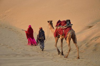 Hindistan Asya 'daki Rajasthan devesini taşıyan adam. 