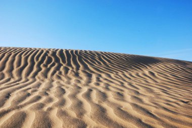 Khuhri Çölü 'nün kum dalgaları Jaisalmer Rajasthan Hindistan 