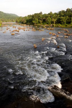 Chalakkudi chalakudy nehri vazhachal ormanında akıyor, Kerala, Hindistan