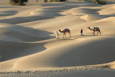 Çölde, Sam kum tepelerinde, Jaisalmer 'de, Rajasthan' da, Hindistan 'da...