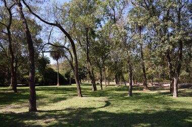 Mahendra Choudhary Hayvanat Bahçesi, Chandigarh, Haryana, Hindistan, Asya 