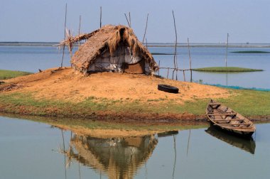 Karides Çiftlikleri, Satpada, Chilika Gölü, Orissa, Hindistan