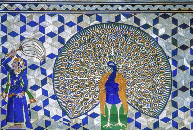 Cam kakmalı tavus kuşu, Udaipur, Rajasthan, Hindistan, Asya