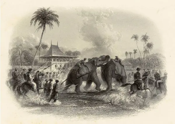 stock image Miniature Painting , An elephant fight Elephant fights were often staged in front of the Maharajah and his court for their amusement 19th century, India