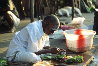 Coconut and betel leaf seller in Mylapore, Madras Chennai, Tamil Nadu, India   clipart