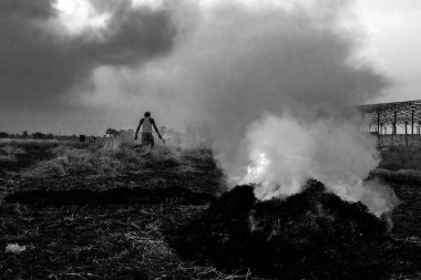 Farmer burning waste in field, Rajarhat, West Bengal, India, Asia