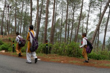 Ağır okul çantalı çocuklar, deodarlar misafir evi, Papersali, Almora, Uttarakhand, Hindistan, Asya