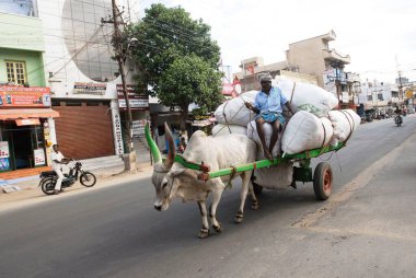 Bullock arabaları; Tirupur; Tamil Nadu; Hindistan