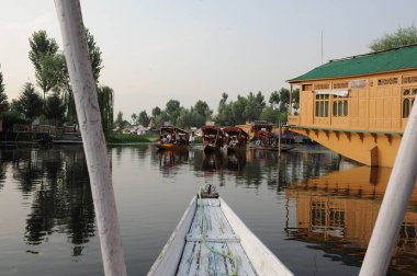 Dal Gölü, Srinagar, Jammu Kaşmir, Hindistan, Asya