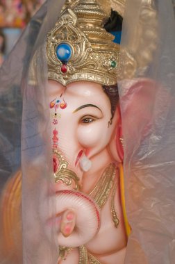 Lord Ganesh 'in İdol' ü, Hindistan 'da 2011 Eylül' ünde plastik çarşaf Pune Maharashtra ile kaplandı.