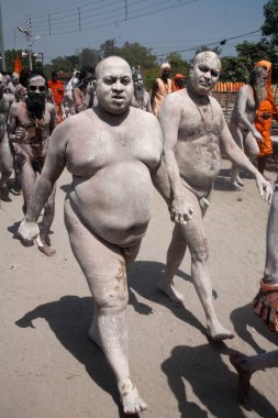 Naked Sadhus on way Haridwar Uttarakhand India Asia   clipart