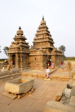 Mahabalipuram 'daki sahil tapınağı; Tamil Nadu; Hindistan