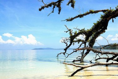 Radhanagar plajı; Havelock Adaları; Bengal Körfezi; Andaman ve Nicobar Adaları; Hindistan Kasım 2008