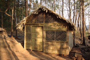 Orman, bambu kulübesi ya da kulübe, Kerala, Hindistan 
