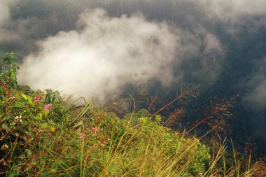 Khasi tepeleri, Cherrapunji, Meghalaya, Hindistan 