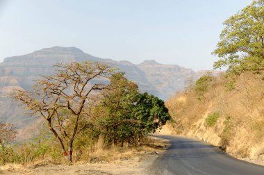 Maharashtra 'daki ghat yolu Hindistan Asya 