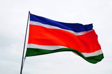 Hindistan 'da, Maharashtra Navn Sena Mns bayrağı  