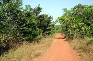 Konkan Maharashtra yolu Hindistan Asya 