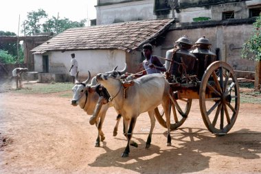 Büyük bakır damarlı Bullock arabası, nattukottai chettiar veya nagarathar evi, Chettinad, Tamil Nadu, Hindistan