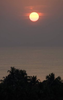 Sahildeki palmiye ağaçlarının güzel günbatımı manzarası