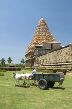 Gangaikonda Cholapuram, capital of the Cholas, temple of Shiva, Tamil Nadu, India  clipart