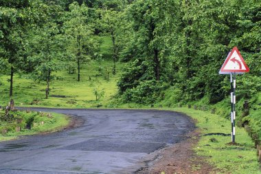 Yol kıvrımlı ve Malshej, Maharashtra, Hindistan, Asya 'da yeşillik var. 