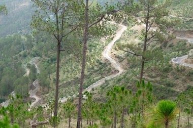 Virajlı yollar, Papersali, Almora, Uttarakhand, Hindistan, Asya 