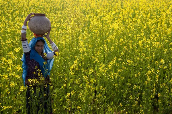 Rajasthani köyündeki kadın hardal tarlasında su kabı taşıyor Jodhpur Rajasthan Hindistan 