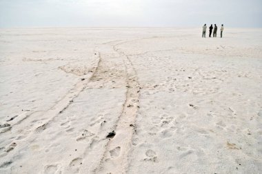 Bhuj, Kutch, Gujarat, Hindistan 'daki çölde tuz kalıntısı.