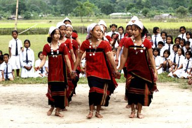 Sneha okulundaki kabile dansı gösterisi genç aktivistler tarafından Hindistan 'daki Chakma kabilesi çocukları Diyun, Arunachal Pradesh' i eğitmek için 2003 yılında kuruldu. 