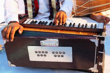 Rajasthan harmonyum çalan adam, Hindistan