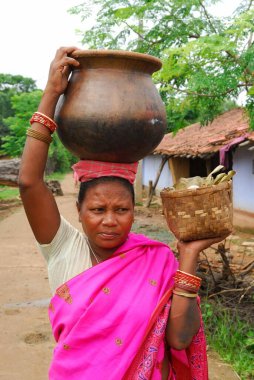 Ot ve sepet taşıyan Ho kabileleri kadını, Chakradharpur, Jharkhand, Hindistan  