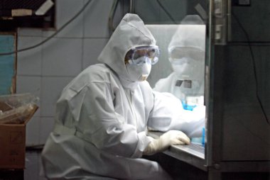 Bilim adamı Hefkin Enstitüsü 'nde domuz gribi örneklerini test ediyor.