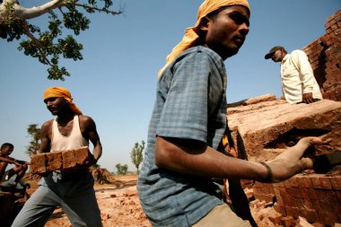 Sangli, Maharashtra, Hindistan 'daki tuğla fabrikasında tuğla döşeyen bir işçi.