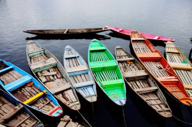 Dallı gölde kanolar, Srinagar, Jammu ve Kashmir, Hindistan