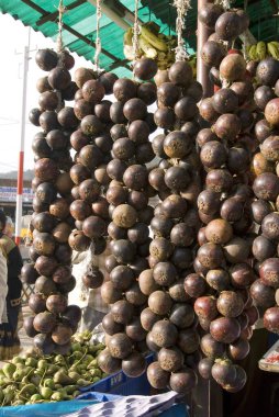 Mangustan meyvesi daha çok Nilgiri 'de, Tamil Nadu' da, Hindistan 'da yetiştirilir.