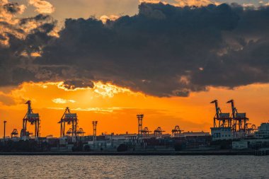 Tokyo 'da turnalar, liman, Japonya