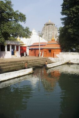 11. yüzyıl Brahmeshwar tapınağı Bhubaneshwar, Orissa, Hindistan 'daki Orissan mimarisinin en önemli örneği olarak kabul edilen Lord Shiva' ya adanmıştır. 