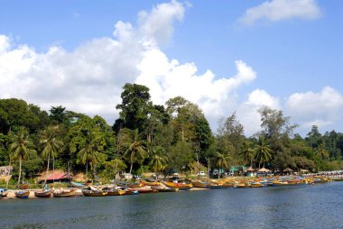 Redskin Adaları, Andaman Nicobar Adaları, Bengal Körfezi, Hindistan Ekim 2008 