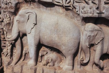 Mamallapuram, Mahabalipuram, Tamil Nadu, Hindistan, Asya 'daki heykelin kapatılması 