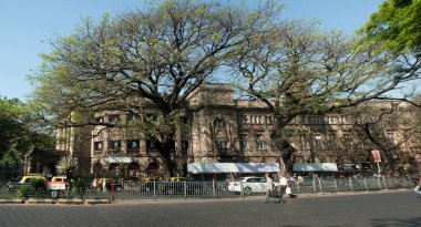 Efendim Cowasji Jehangir Sanat Galerisi Mumbai Maharashtra Hindistan Asya 